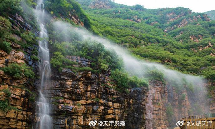 集邮者的收藏